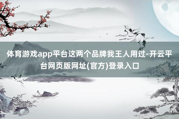 体育游戏app平台这两个品牌我王人用过-开云平台网页版网址(官方)登录入口